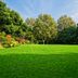 Lawn Care Playbook: How To Supercharge Your Yard This Season