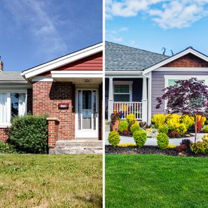 Why Is My Neighbor's Lawn Greener Than Mine?