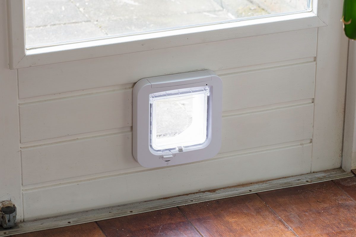 Inside view of a regular white flap