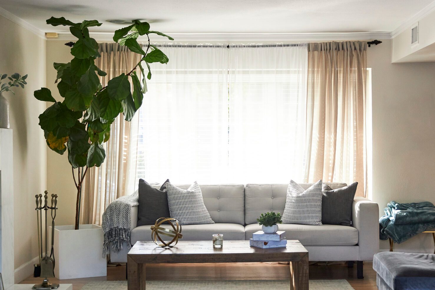 Modern brightly lit living room