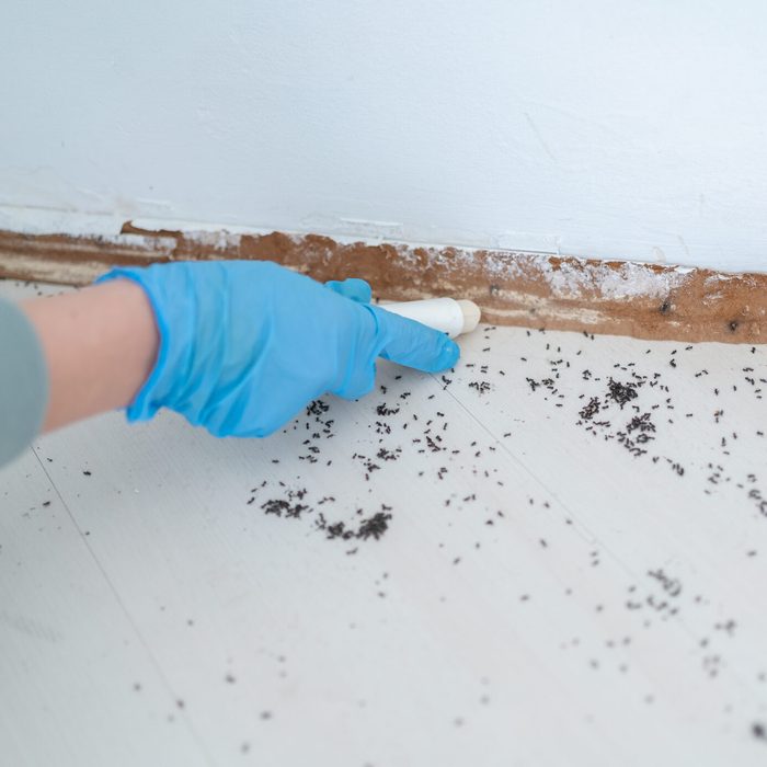 Pest Control With Poisonous Substance