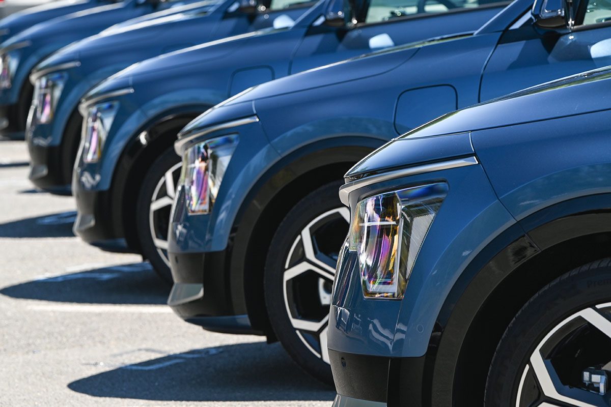 Is KN a New Car Brand? The Viral Misunderstanding Behind This Car Logo