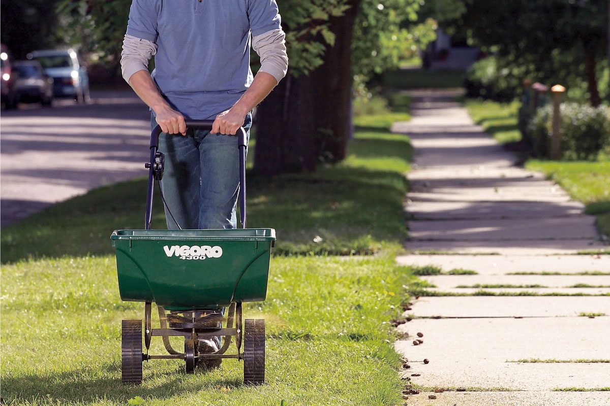 Apply A Double Dose Of Herbicide To Crabgrass Hotspots