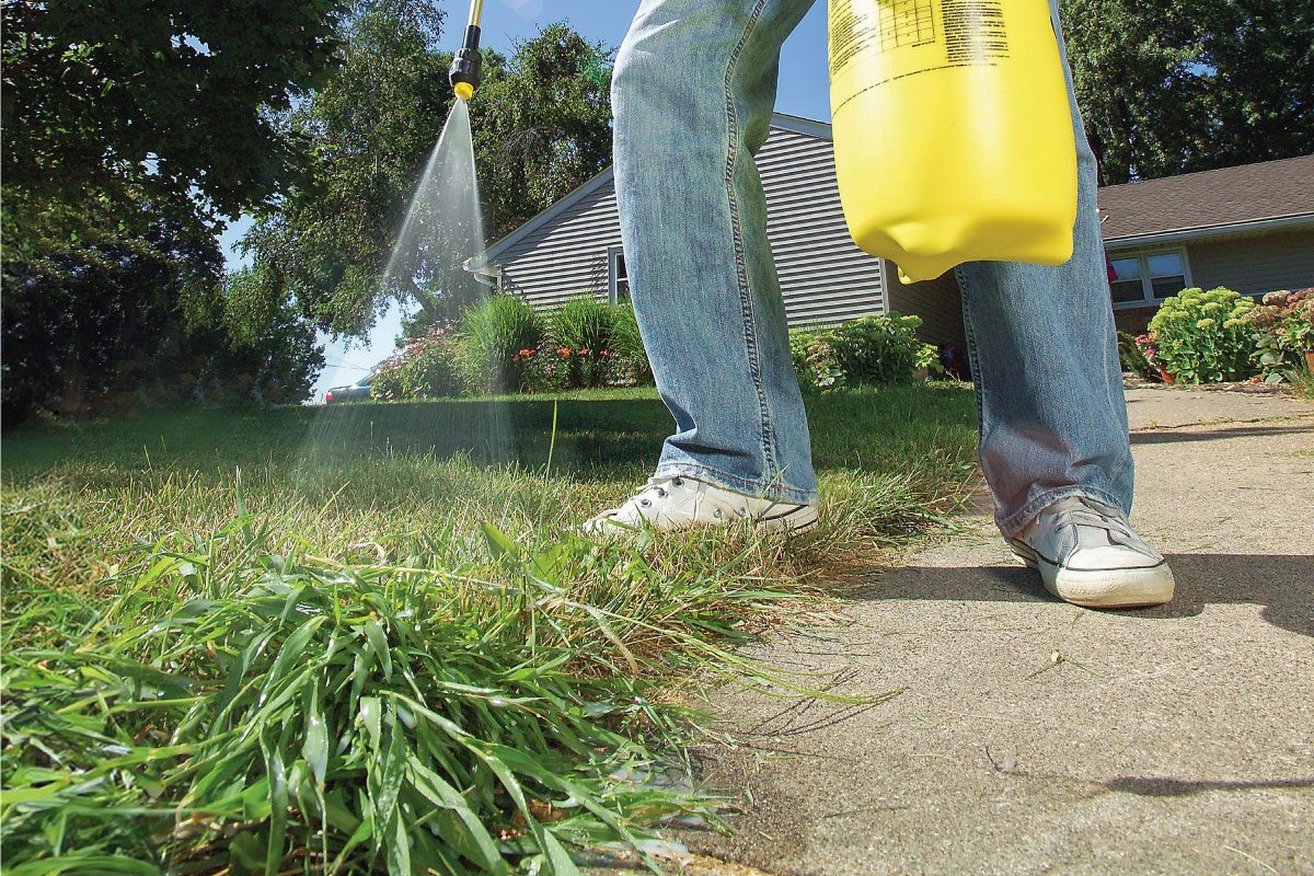 Kill Immature Crabgrass Patches With Herbicide