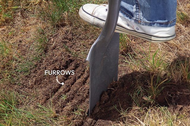 Furrow The Dirt