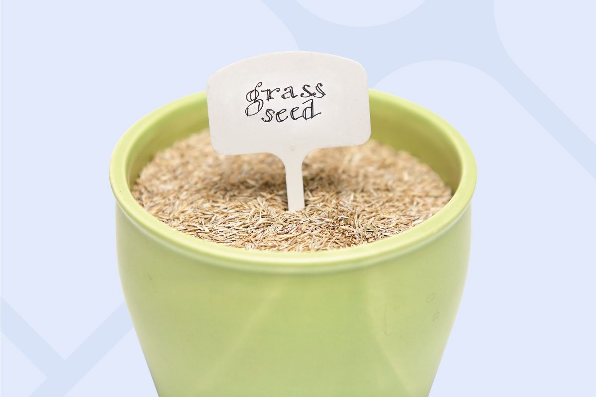 Check The Key Ingredients In Crabgrass Preventers