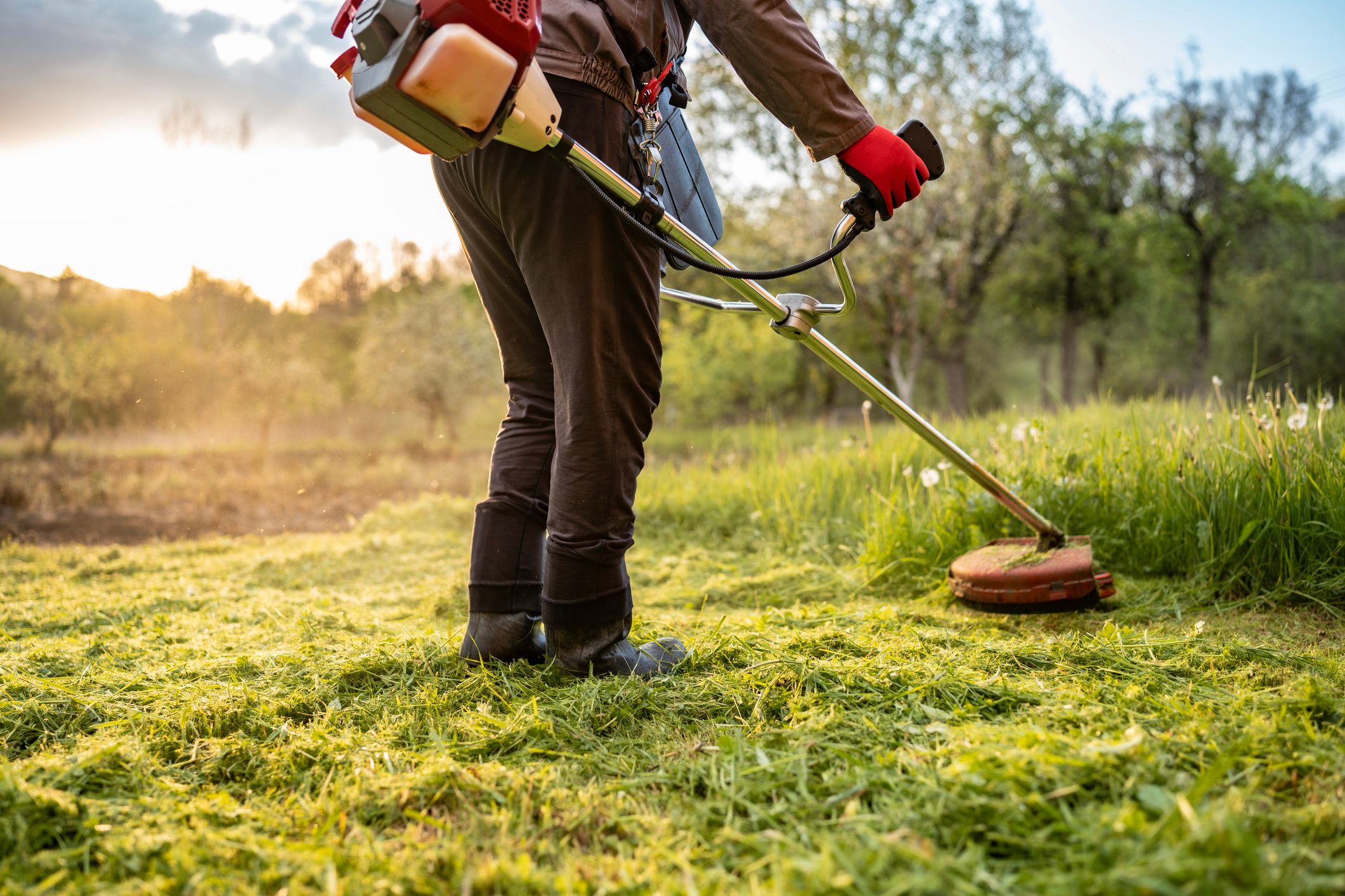 How Early Is Too Early For Loud Yard Work?