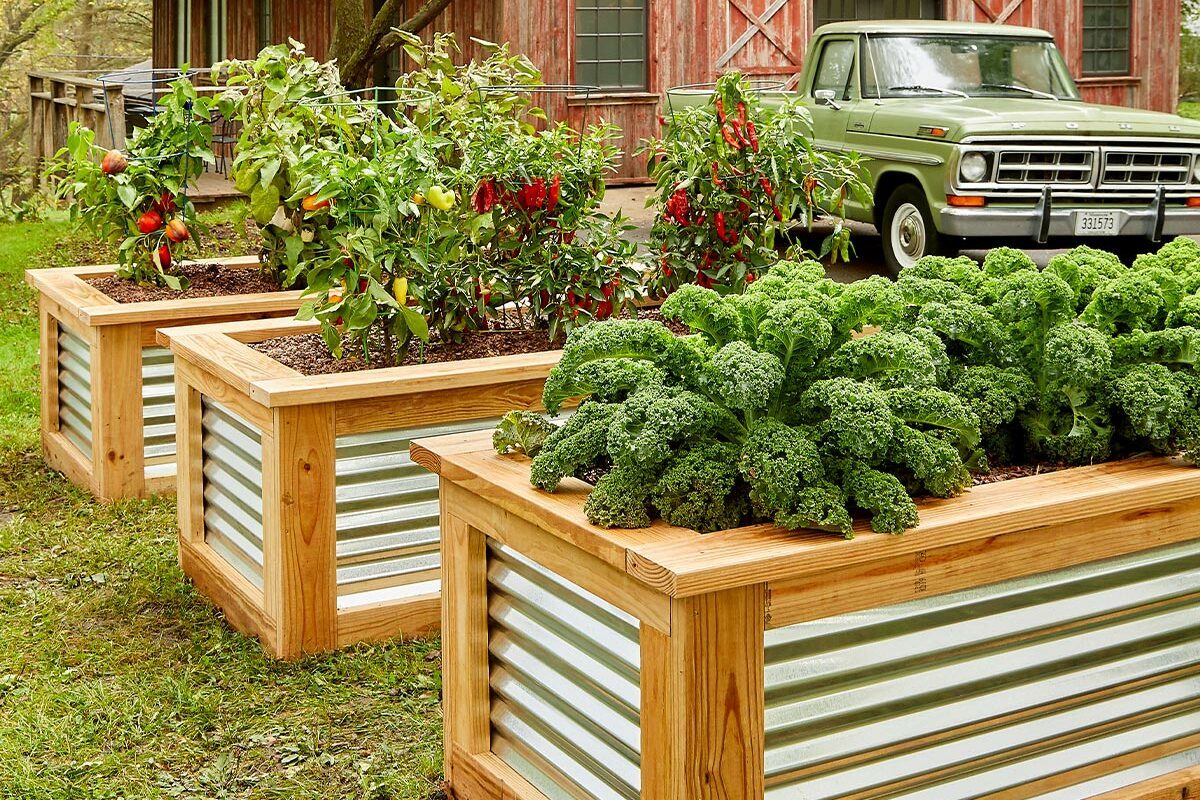 How to Build a Raised Garden Bed