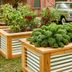 How to Build a Raised Garden Bed