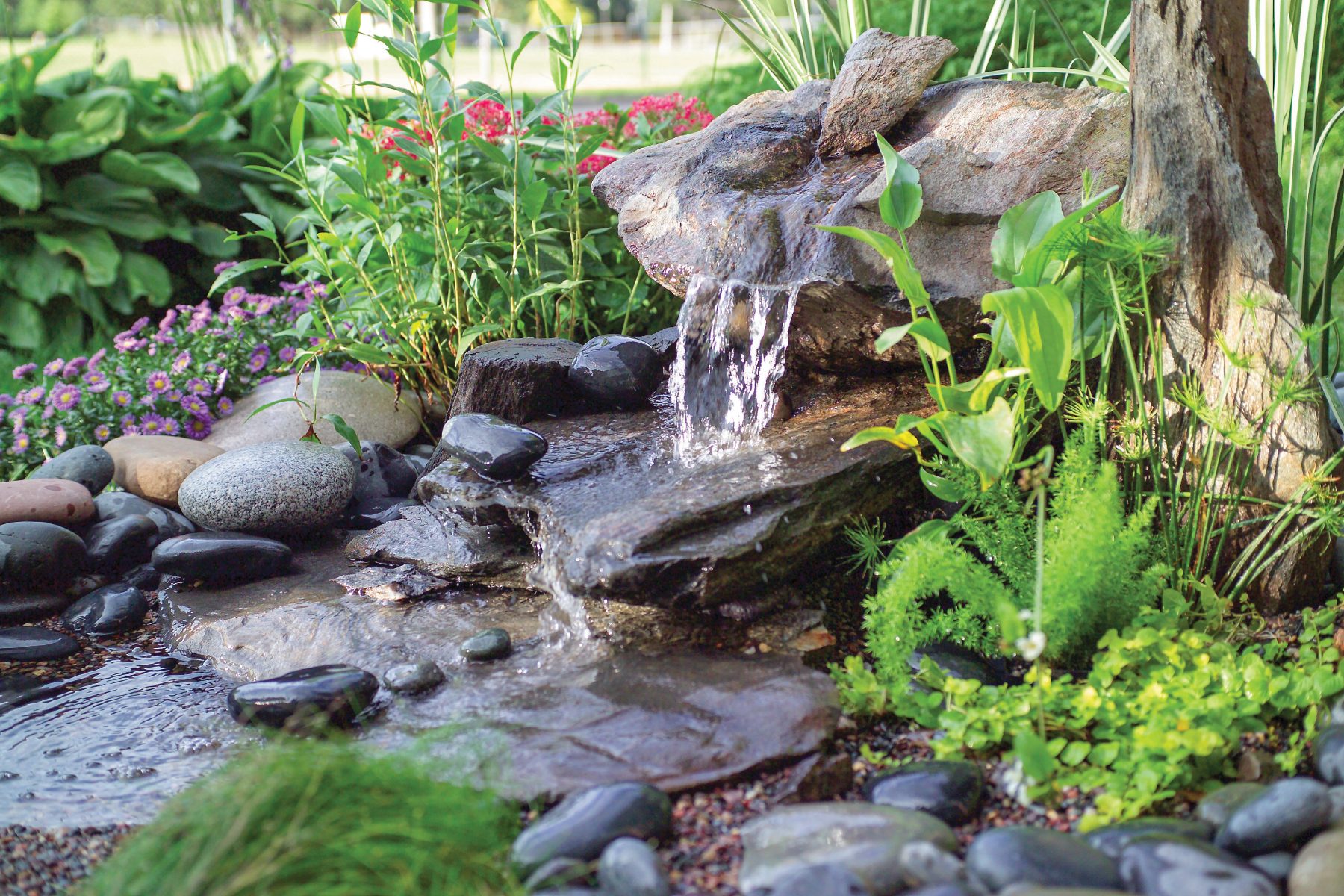 How to Build a Water Feature That’s Low Maintenance