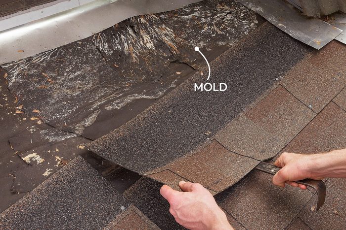 10 Roof Problems And What To Do About Them Callouts Ai