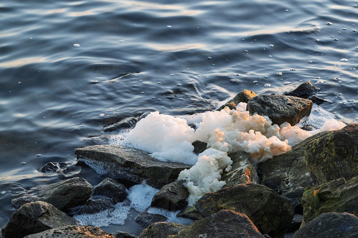 The foam is a result of algae decomposition and may be contaminated with PFAS