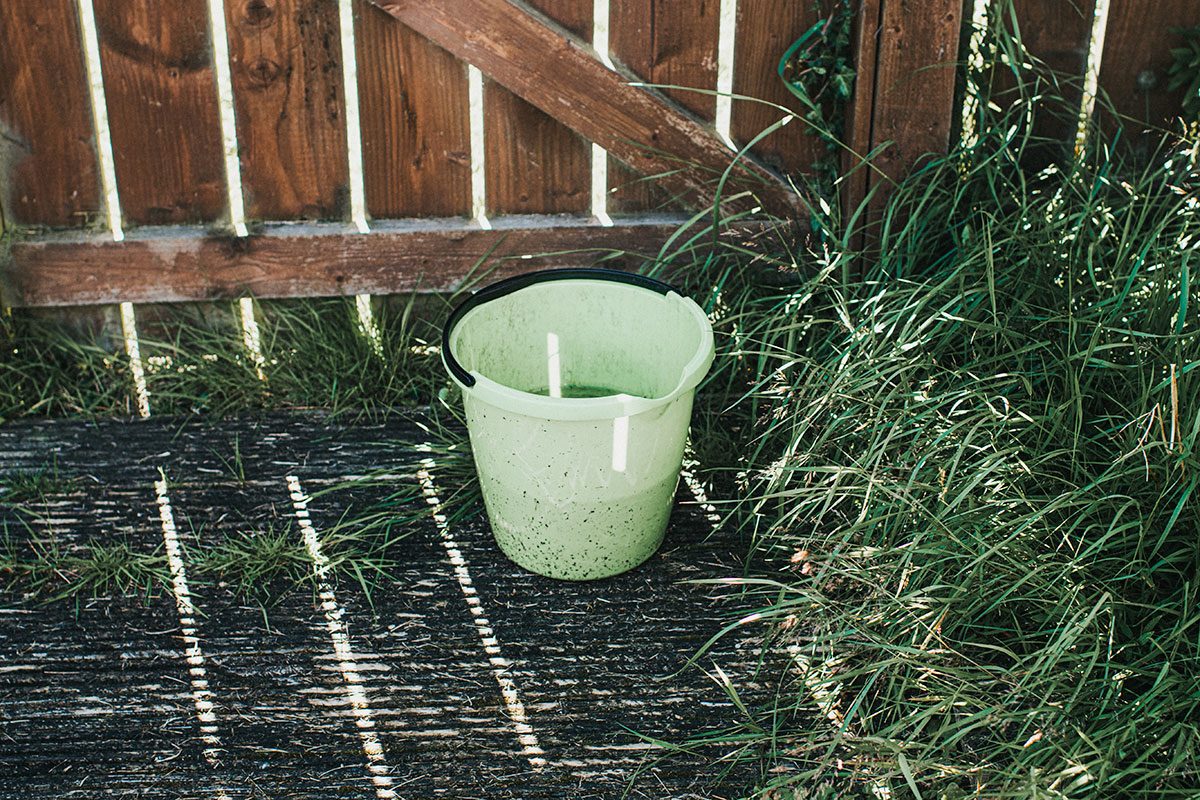 Does This Viral “Bucket of Doom” Trick Actually Get Rid of Mosquitoes?