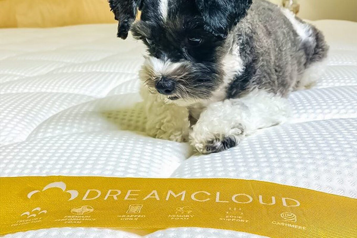 Dreamcloud Mattress Jill Schildhouse For Family Handyman 02