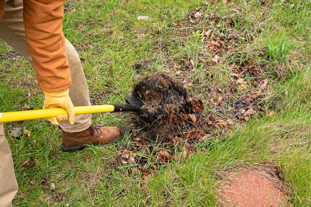 Round point shovel/spade