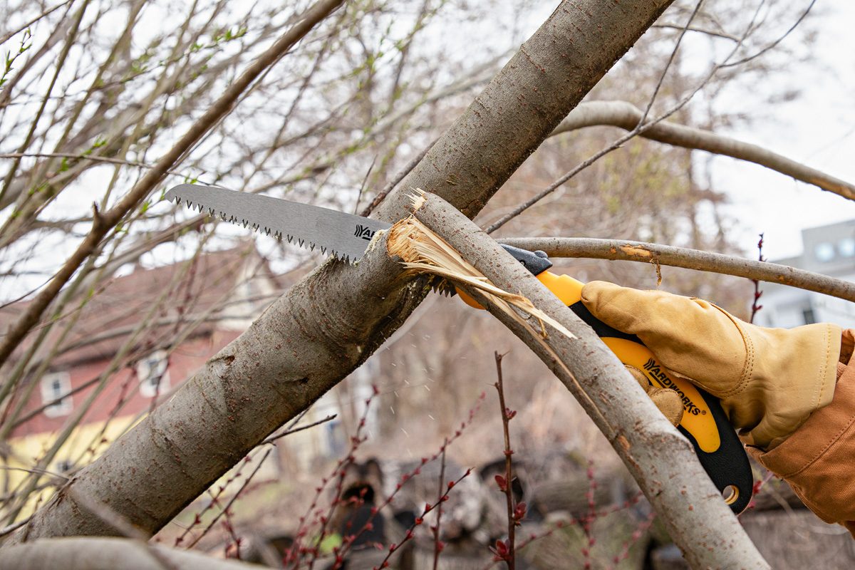 pruning saw