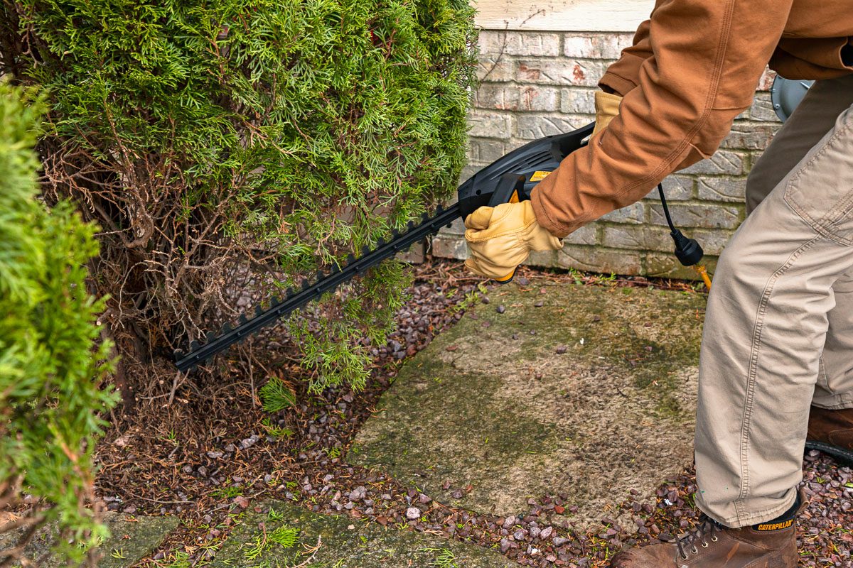 hedge trimmer