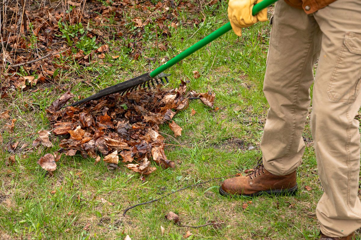 leaf rake