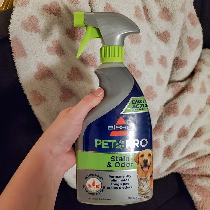A hand holding a spray bottle of Bissell Pet Pro Stain & Odor remover in front of a beige and brown spotted blanket. The label features a dog and promotes enzyme action for tough pet stains.