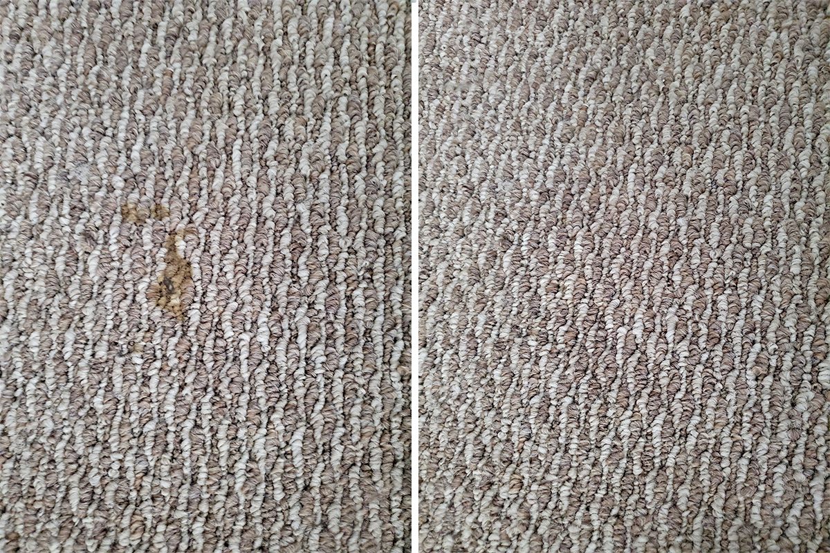 Bissell Professional Pet Stain