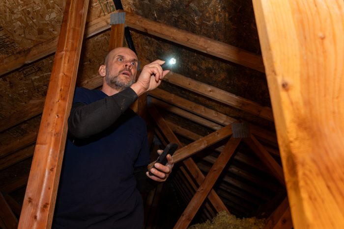 Home Inspector Examining Attic
