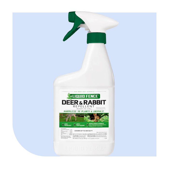 Home And Garden Deals Worth Your Money