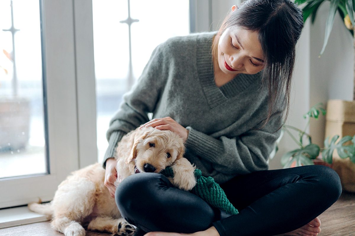 How to Get Your Home Ready for Adopting a New Dog