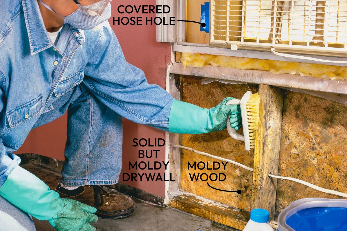 Mold Remediation How To Remove Mold Fh02jau 02333 001 Ai Callouts