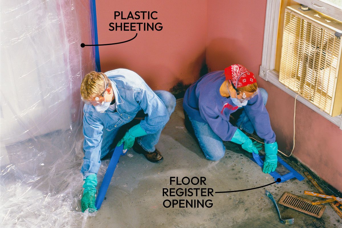 Mold Remediation How To Remove Mold Fh02jau 02333 003 Ai Callouts