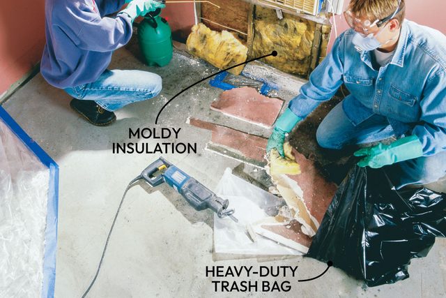 Mold Remediation How To Remove Mold Fh02jau 02333 005 Ai Callouts