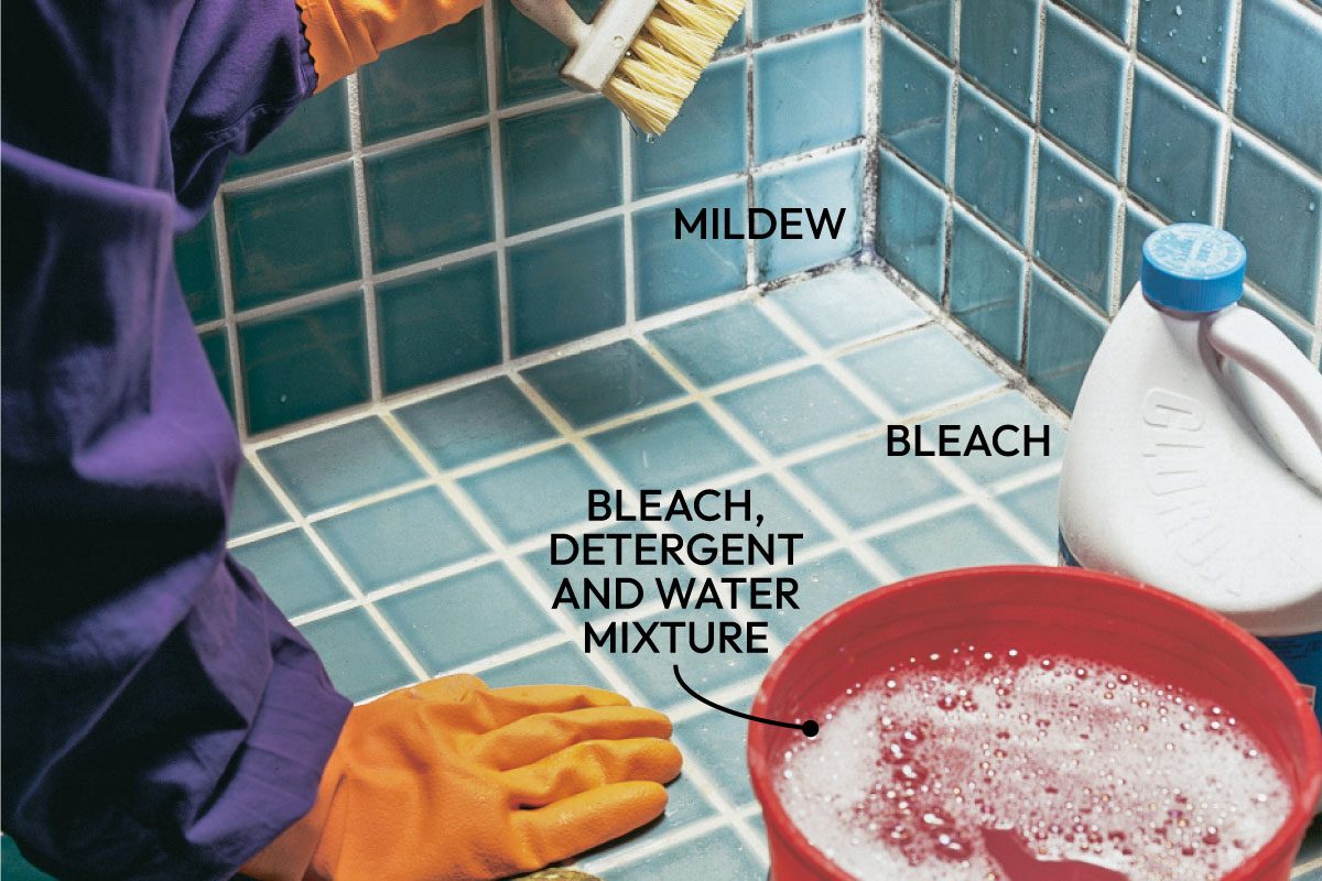 Mold Remediation How To Remove Mold Fh02jau 02333 008 Ai Callouts