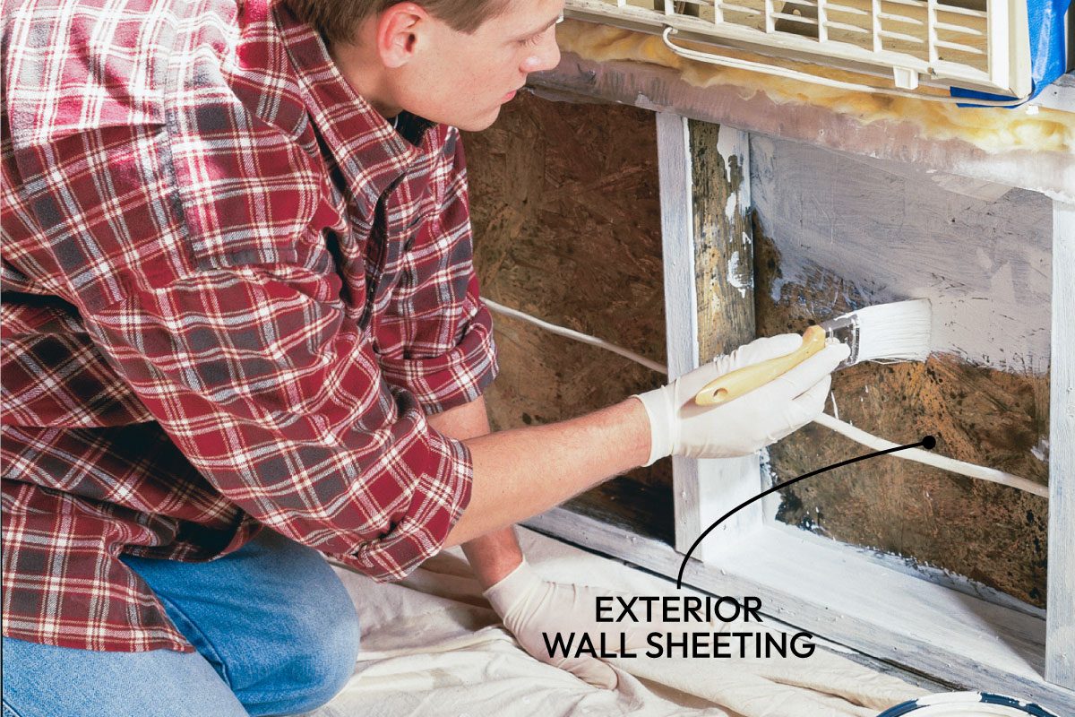 Mold Remediation How To Remove Mold Fh02jau 02333 009 Ai Callouts