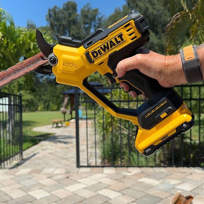 Fall Cleanup Just Got Easier Dewalt 20v Pruning Shears Pamela Bondurant For Fhm