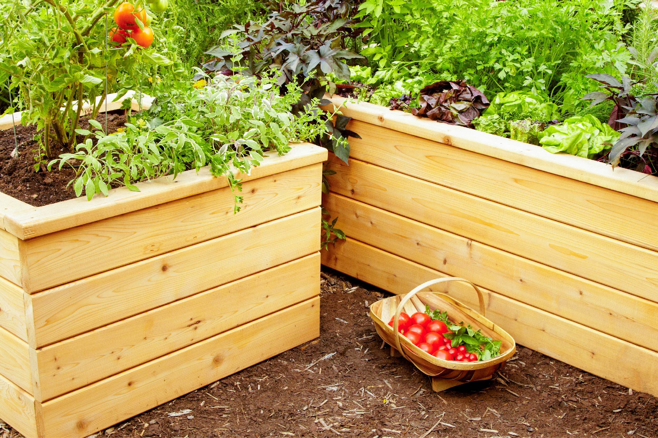 How To Build Your Own Self-Watering Planter