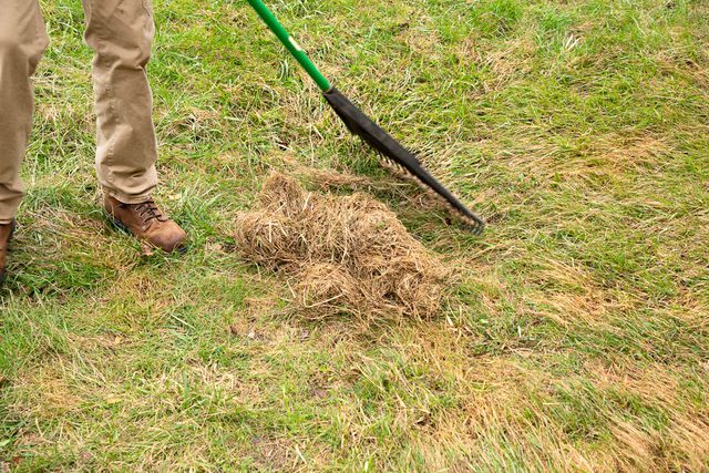 A person wearing brown pants and work boots uses a rake with a green handle to gather a pile of dead grass from a patchy lawn; Only the lower half of the person is visible in the frame