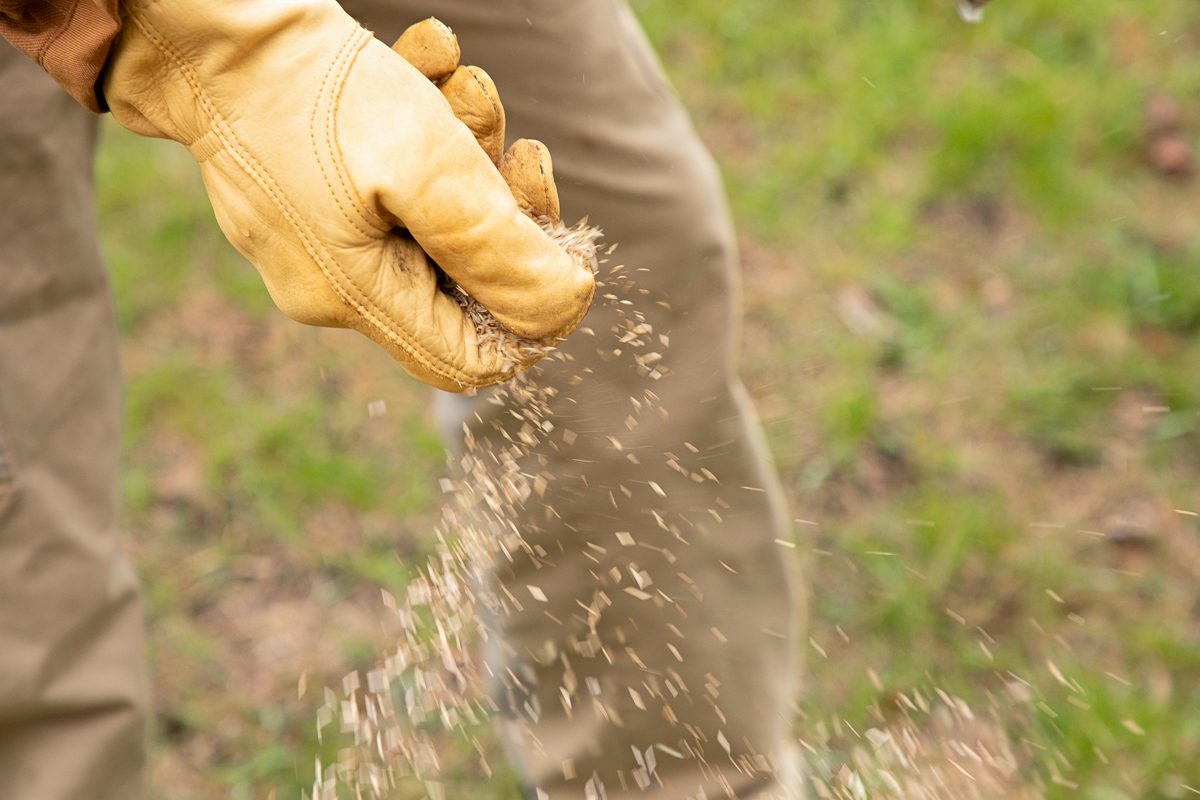 A close-up of a gloved hand spreading grass seed over a lawn; The person is wearing tan work gloves and brown pants, with the background softly blurred to emphasize the motion of the seeds falling