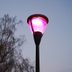 Why Are Some Street Lights Turning Purple? The Surprising Reason Explained