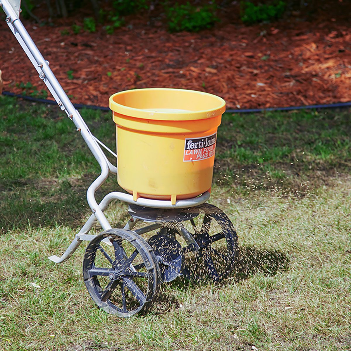 The Best Way to Plant Grass Seed for a Lush Lawn