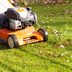 Don't Ditch Your Lawn Care Yet: Why Fall Maintenance Is Crucial