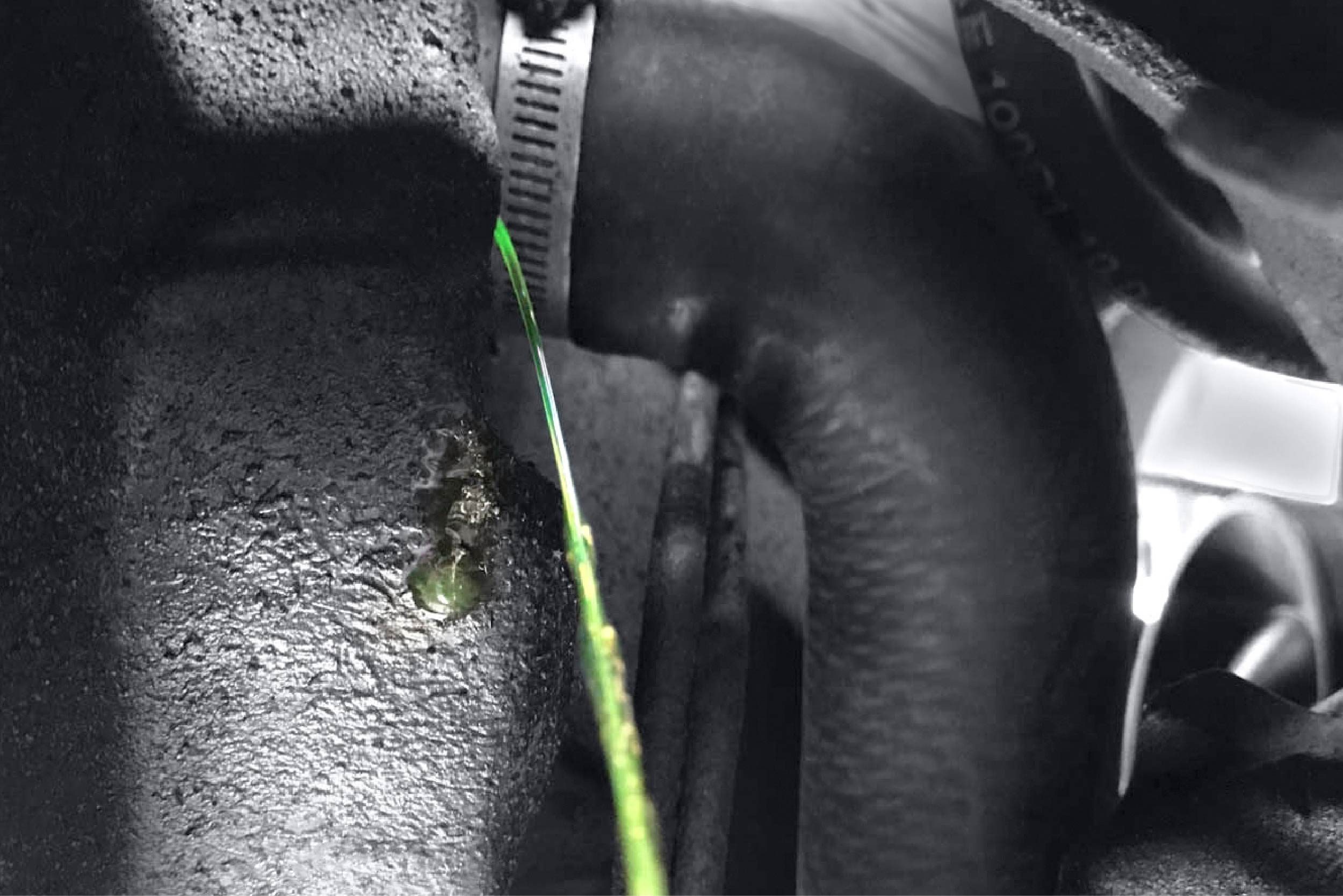 A green liquid leaks from a black hose connected to a metallic surface, surrounded by dark, textured components in a mechanical environment.