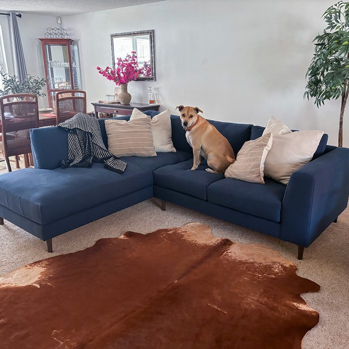 Fhma25 Medley Dekayess Bumper Sectional In Latex + Wool  Mary Henn 01 Ssedit