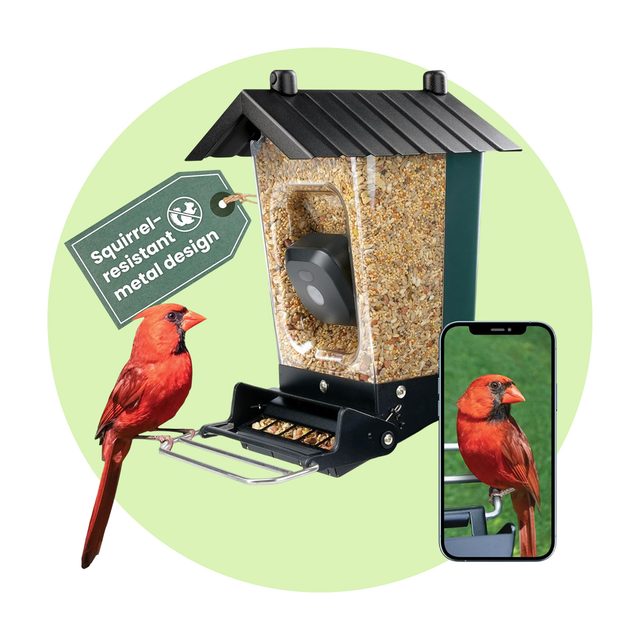 Perky Pet Smart Bird Feeder Via Merchant