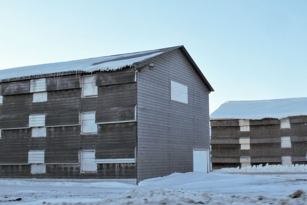 chicken coops with closed windows in winter